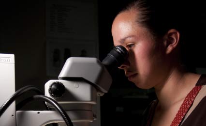 Student looking at microscope