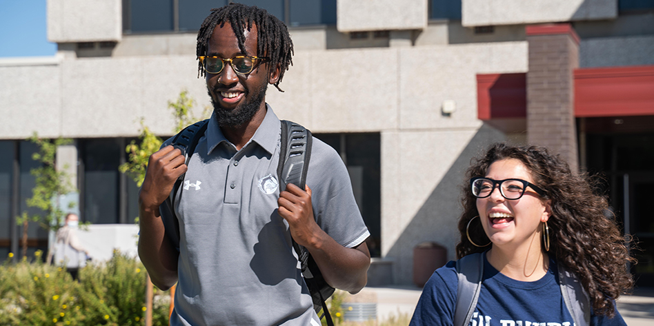 Humanities and Social Sciences