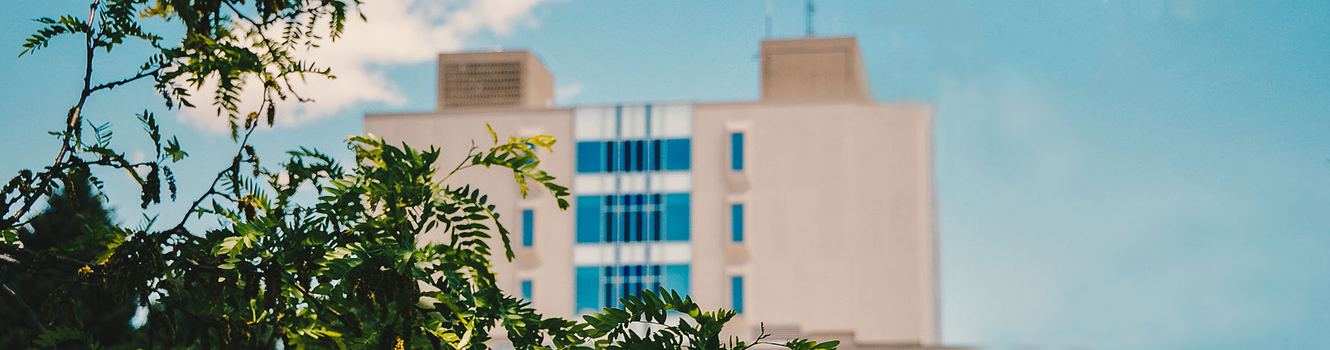 top of library peaking through trees