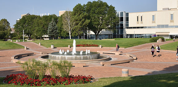 Colorado State University Organizational Chart