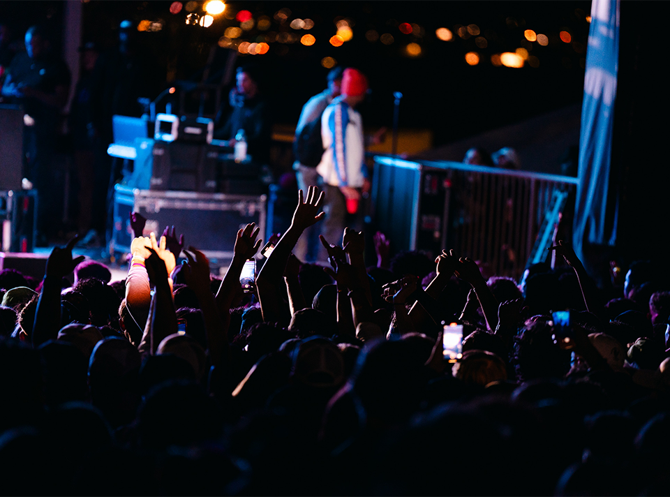 students at concert