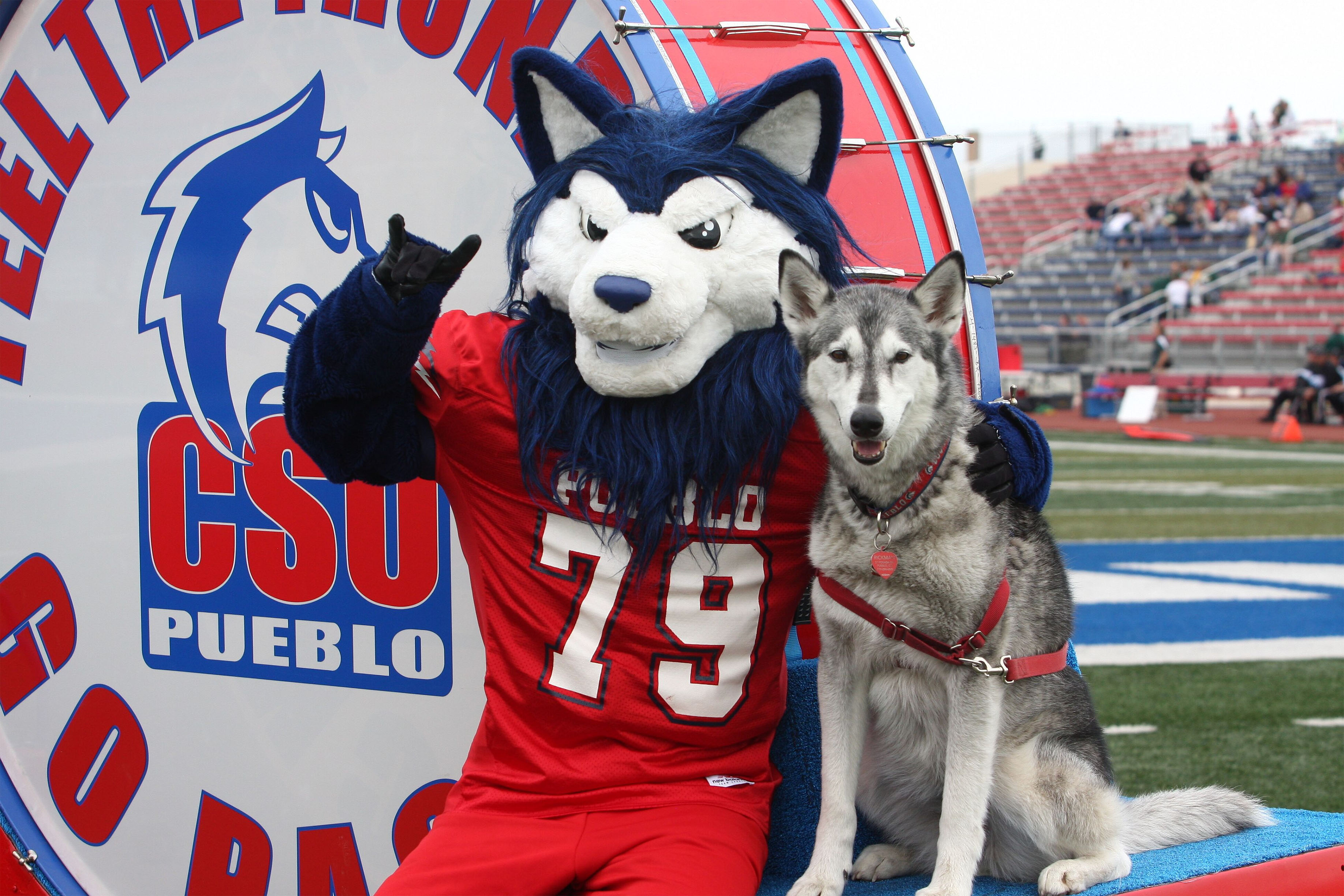 Wolfie CSU Pueblo mascot