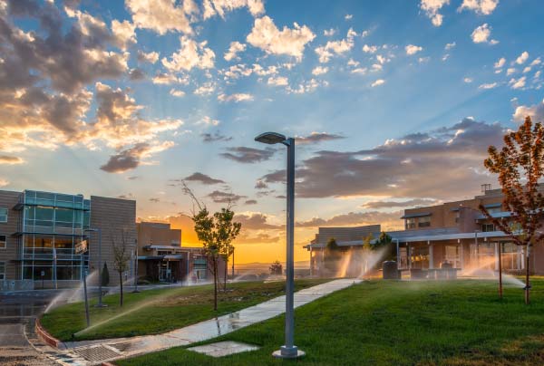 Residence Halls in Summer