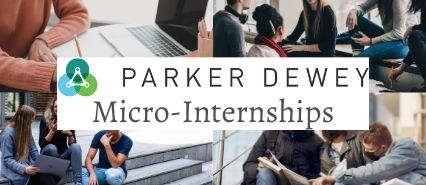 micro-internships