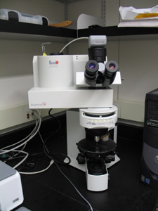 SensIR Microspectrophotometer (Olympus BX51 microscope)