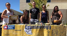 Sociology, BA/BS