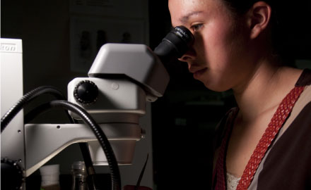 Biology, BS