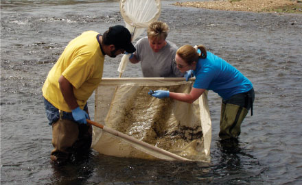 Wildlife and Natural Resources, BS