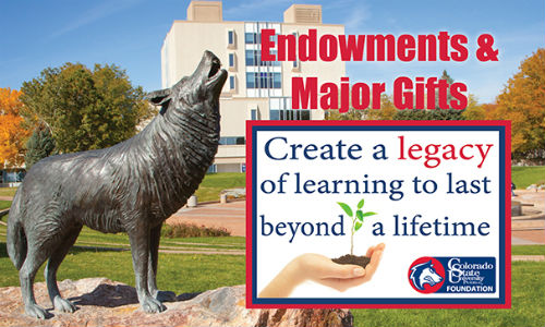 Endowments and Major Gifts
