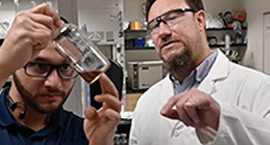 Cannabis Biology and Chemistry