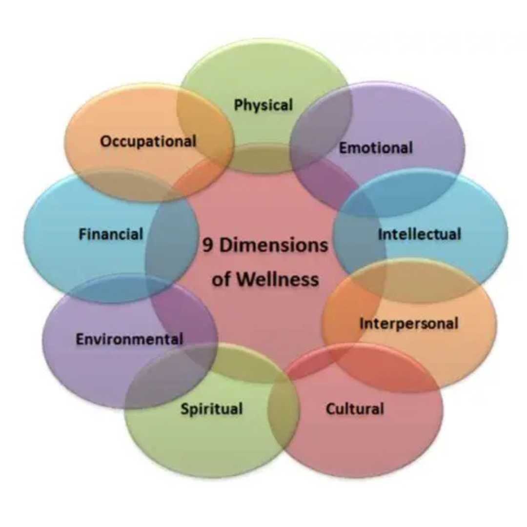 9 dimensions of wellness are emotional, physical, occupational, social, spiritual, intellectual, environmental, and financial
