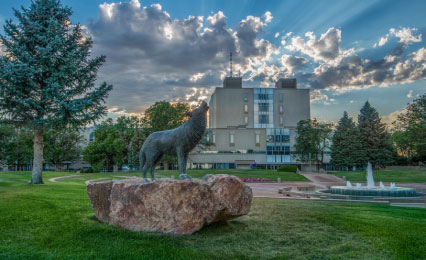 Wolf Statue on Campus