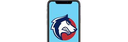 cell phone with csu pueblo logo