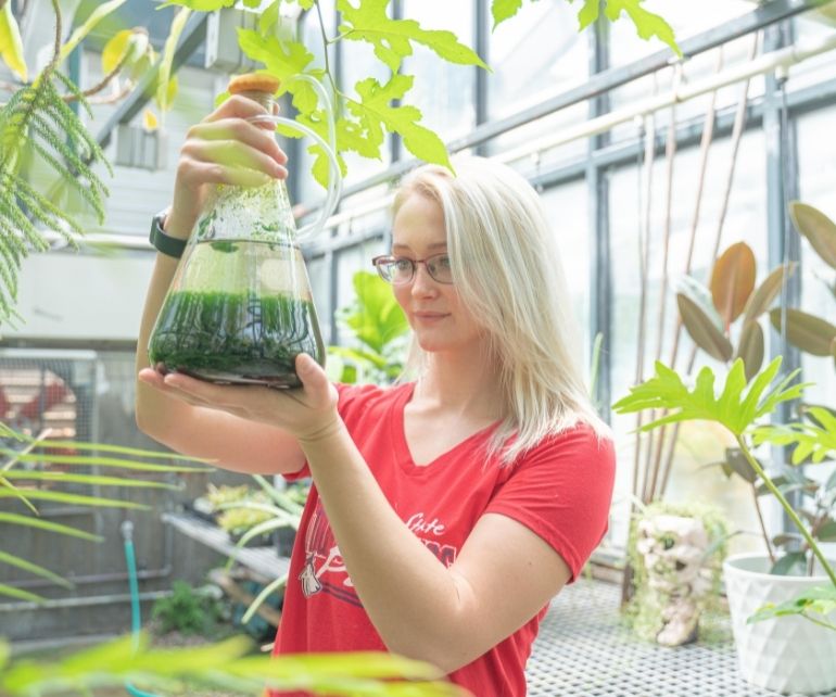 Cannabis Research at CSU Pueblo