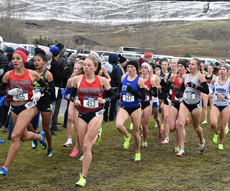 cross country team running