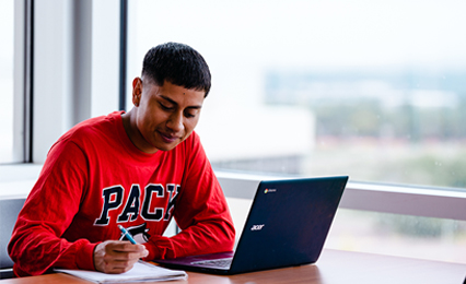  individual looking at laptop