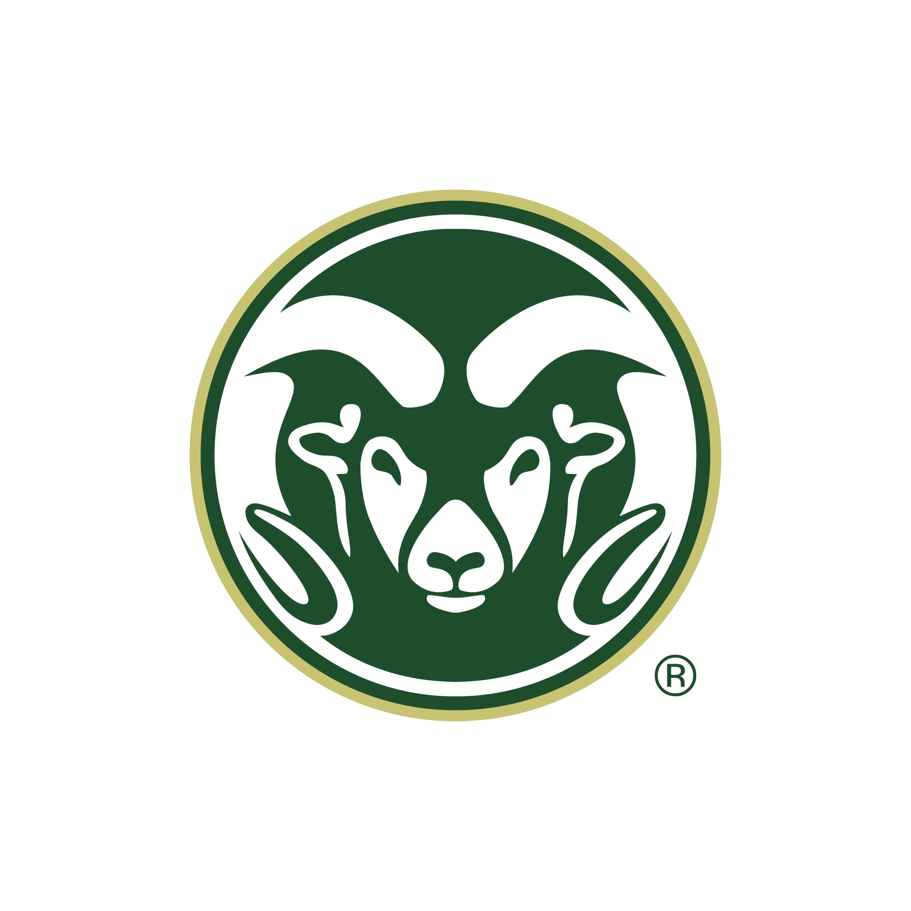 Colorado State University Fort Collins