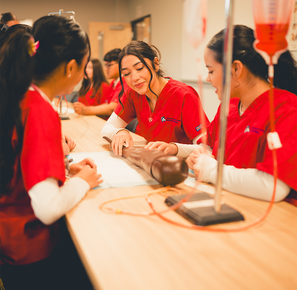 Nursing students in a learning environment