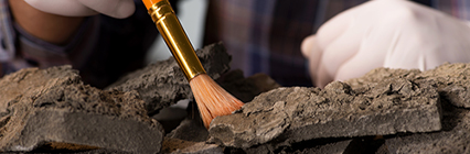 student dusting off fossil