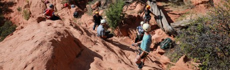 Students climbing